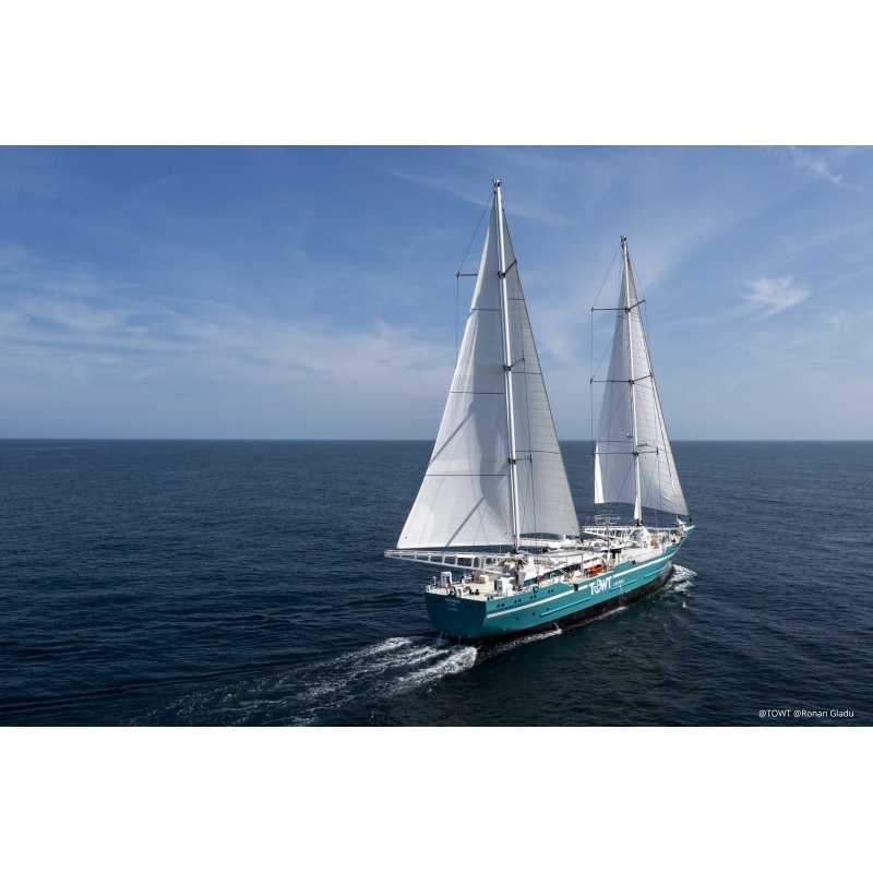 Café Salvador, Phoenix - Brume de Café