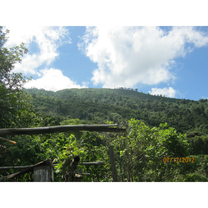 Café Salvador, Phoenix - Brume de Café