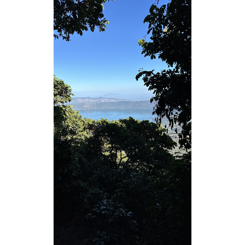 Café Salvador, Phoenix - Brume de Café