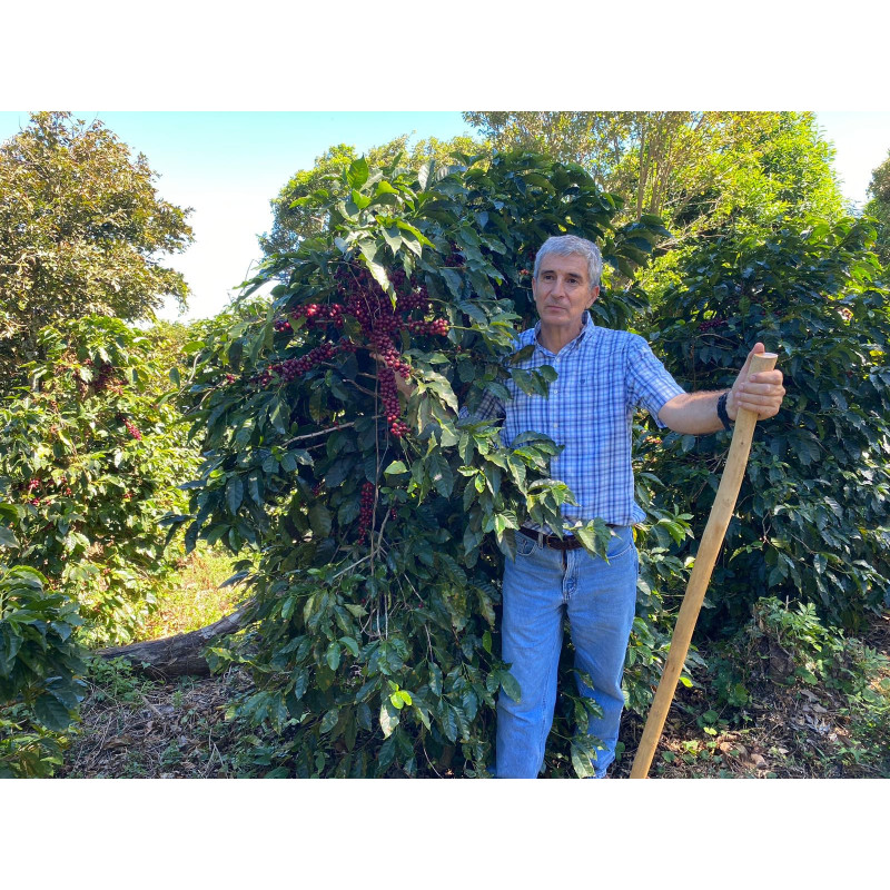 Café Salvador, Phoenix - Brume de Café