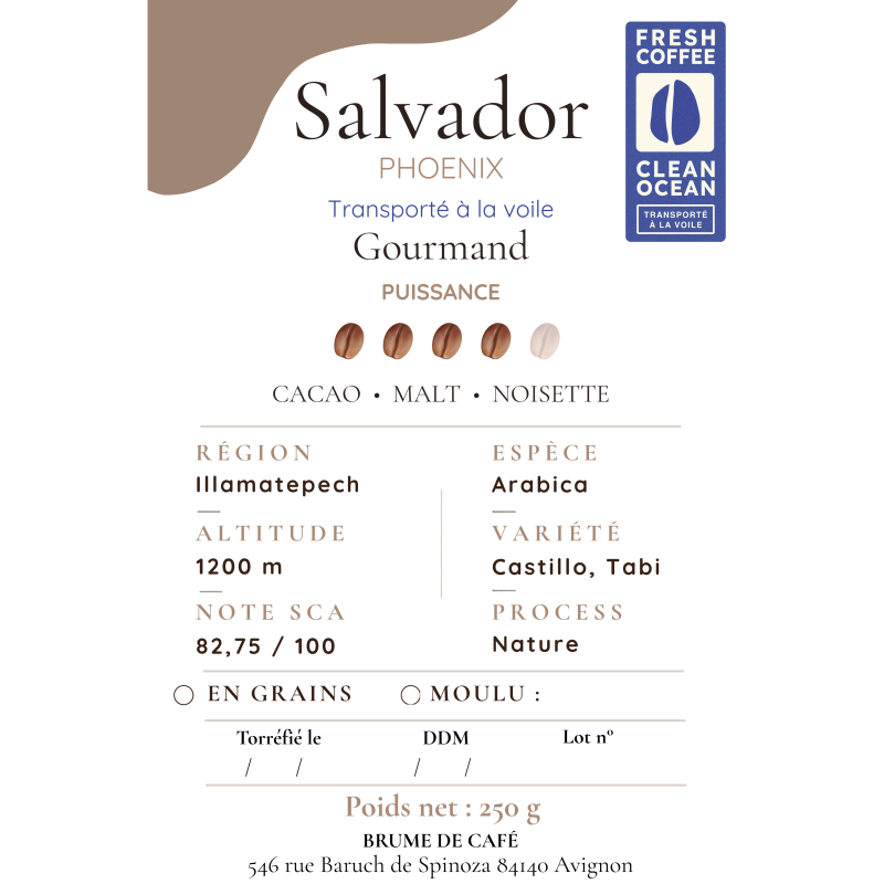 Café Salvador, Phoenix - Brume de Café