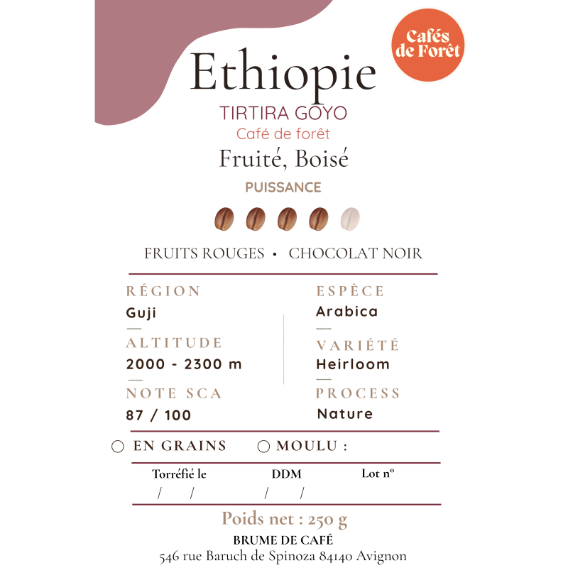 Ethiopie Tirtira Goyo - Brume de Café